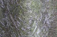 Panshanger fibreglass roof work