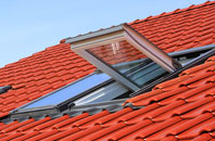 Panshanger roof window